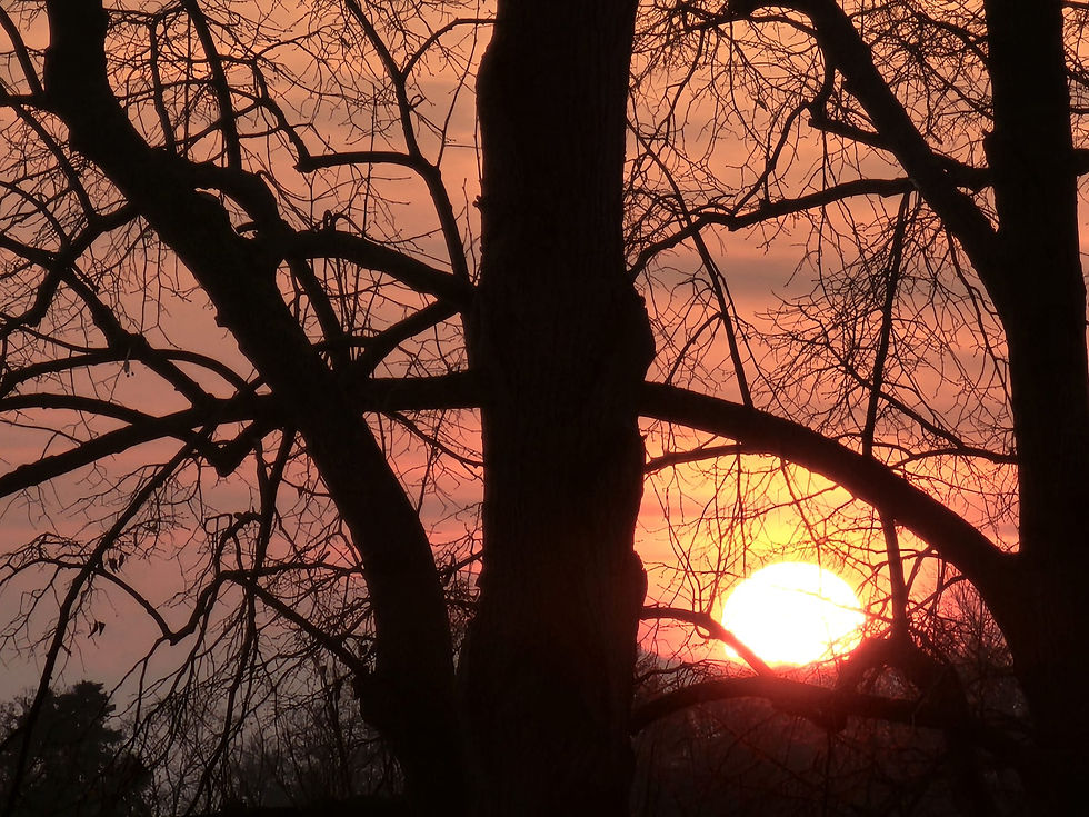 Discover Life Dreams: Healing Your Soul's Guidance