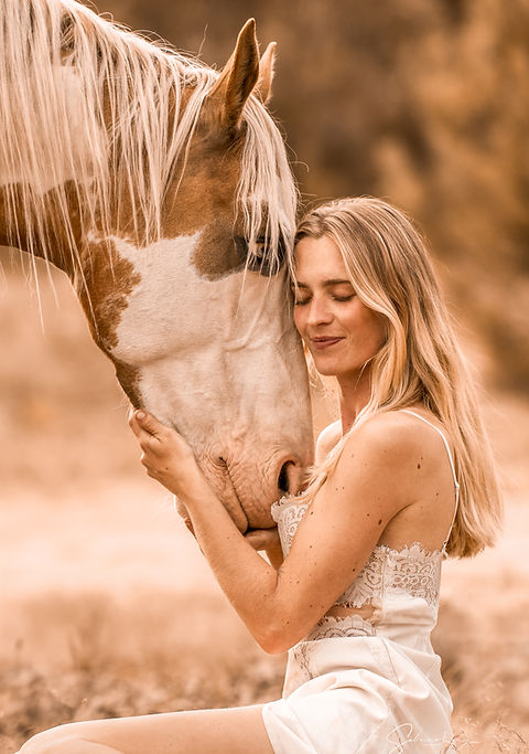 Horse Photography Image Style Development