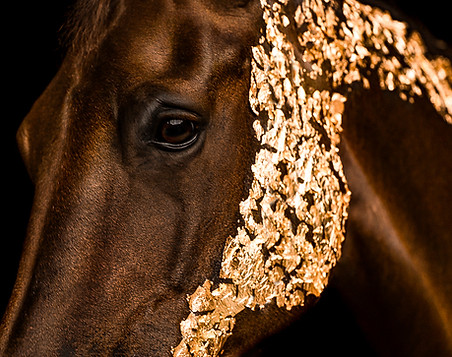 Gold Leaf Shooting Price Horse