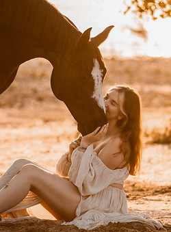 Pony Informationen Pferdefotografie