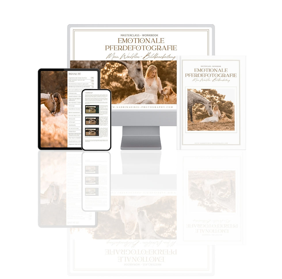 Miniaturbild: Masterclass Workbook - MeinWorkflow - Bildbearbeitung