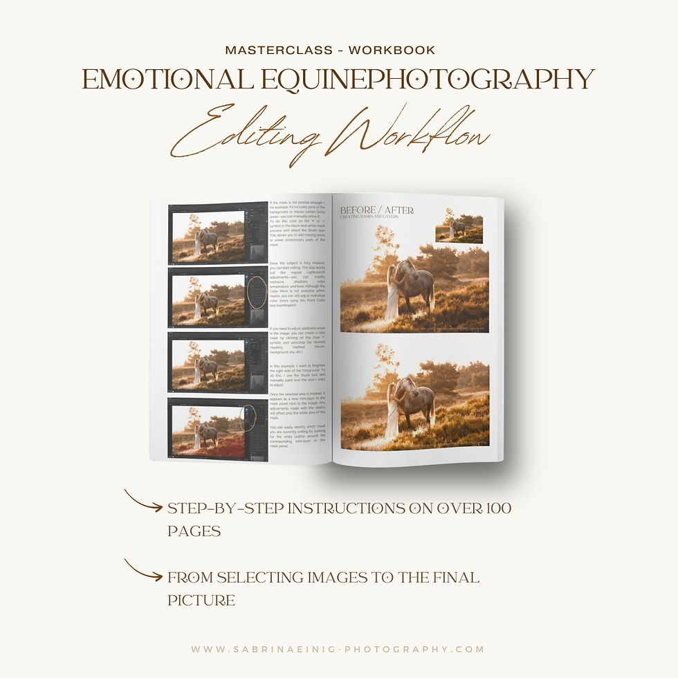Miniaturbild: Masterclass Workbook - MeinWorkflow - Bildbearbeitung
