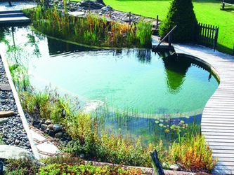 Going Green- A Natural Way to Cool Off