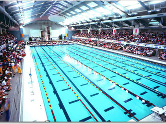 Factors of a Fast Competition Pool