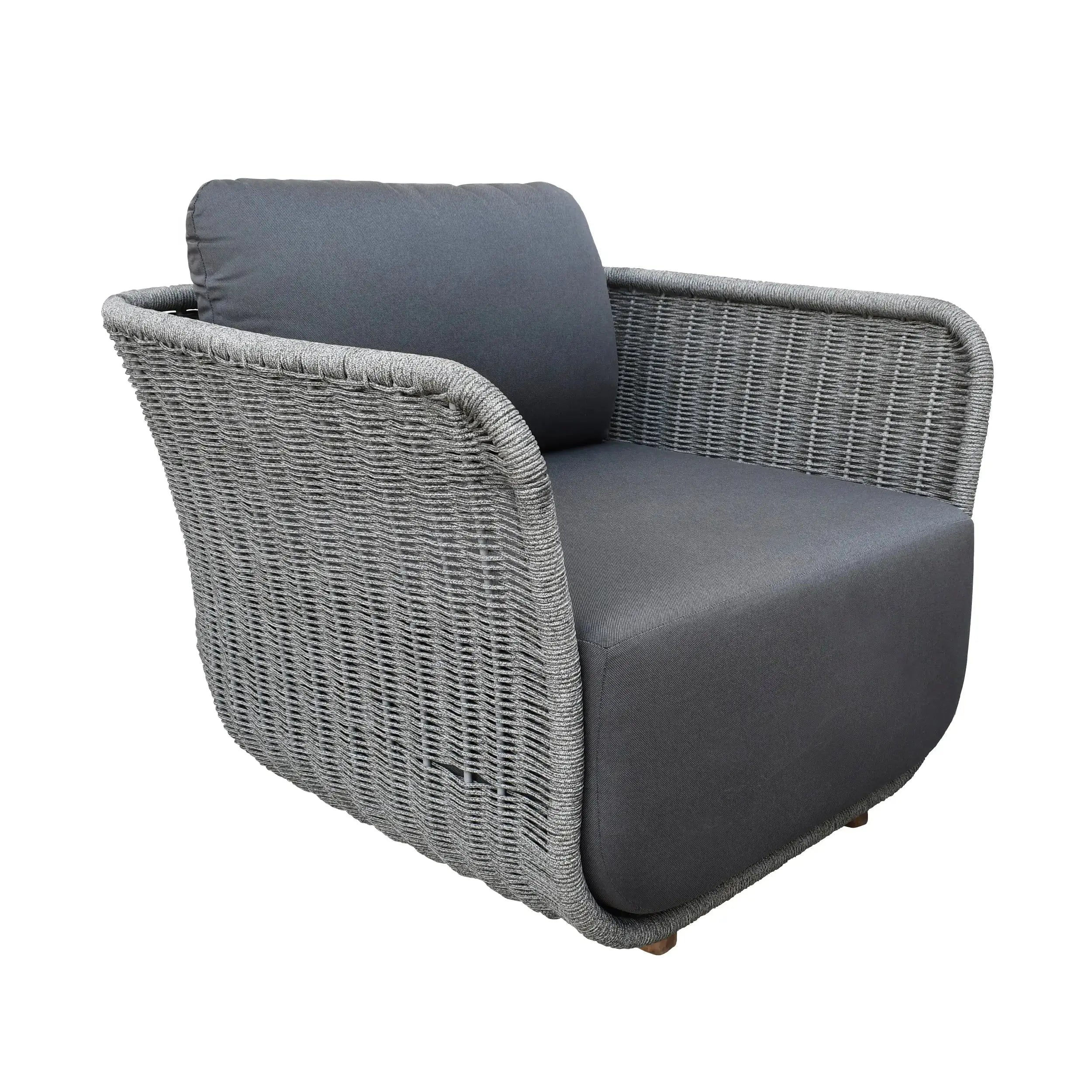Modern Carbon Aluminum Indoor Outdoor Armchair with Polyester Rope