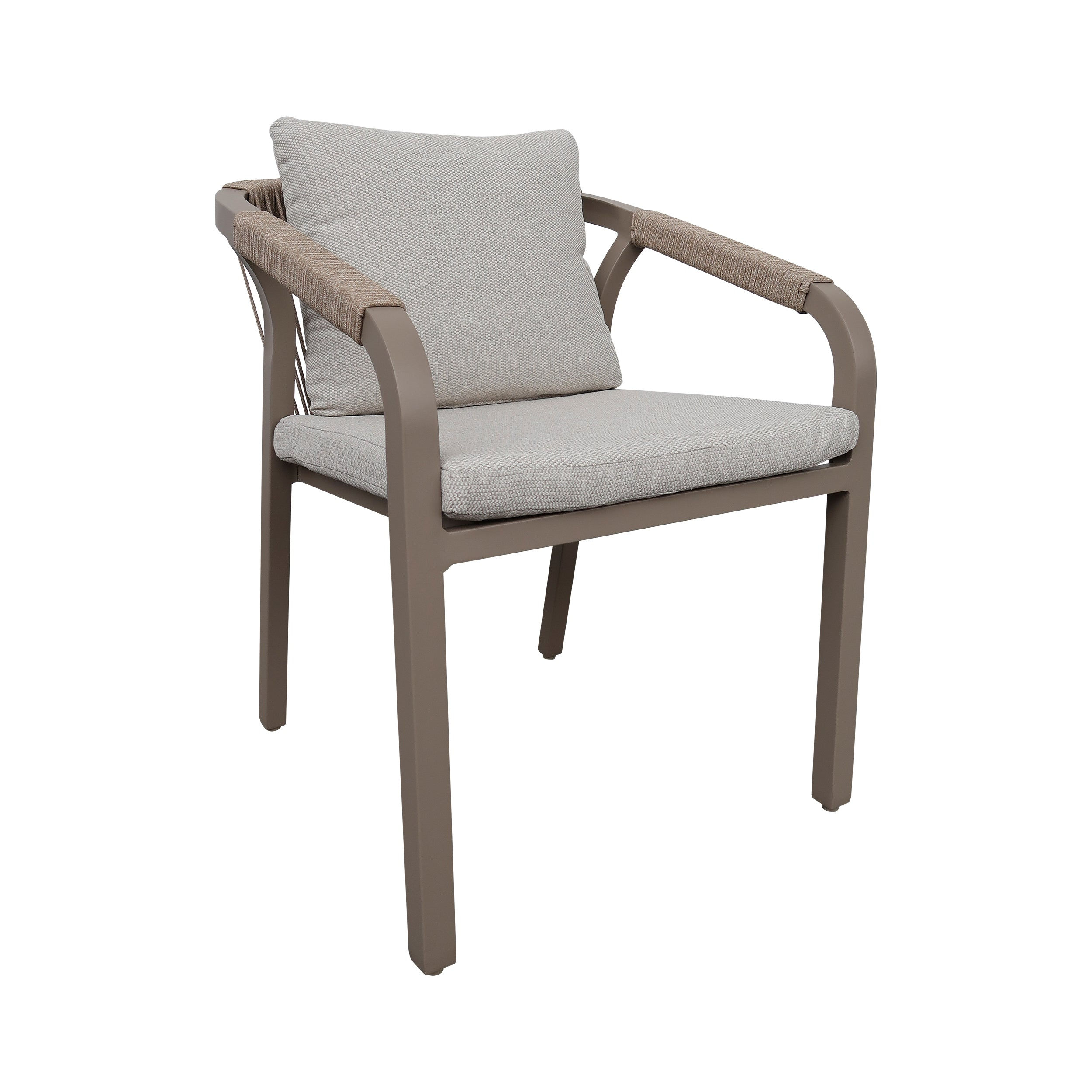Modern Champagne Aluminum Indoor Outdoor Dining Chair with Cushions