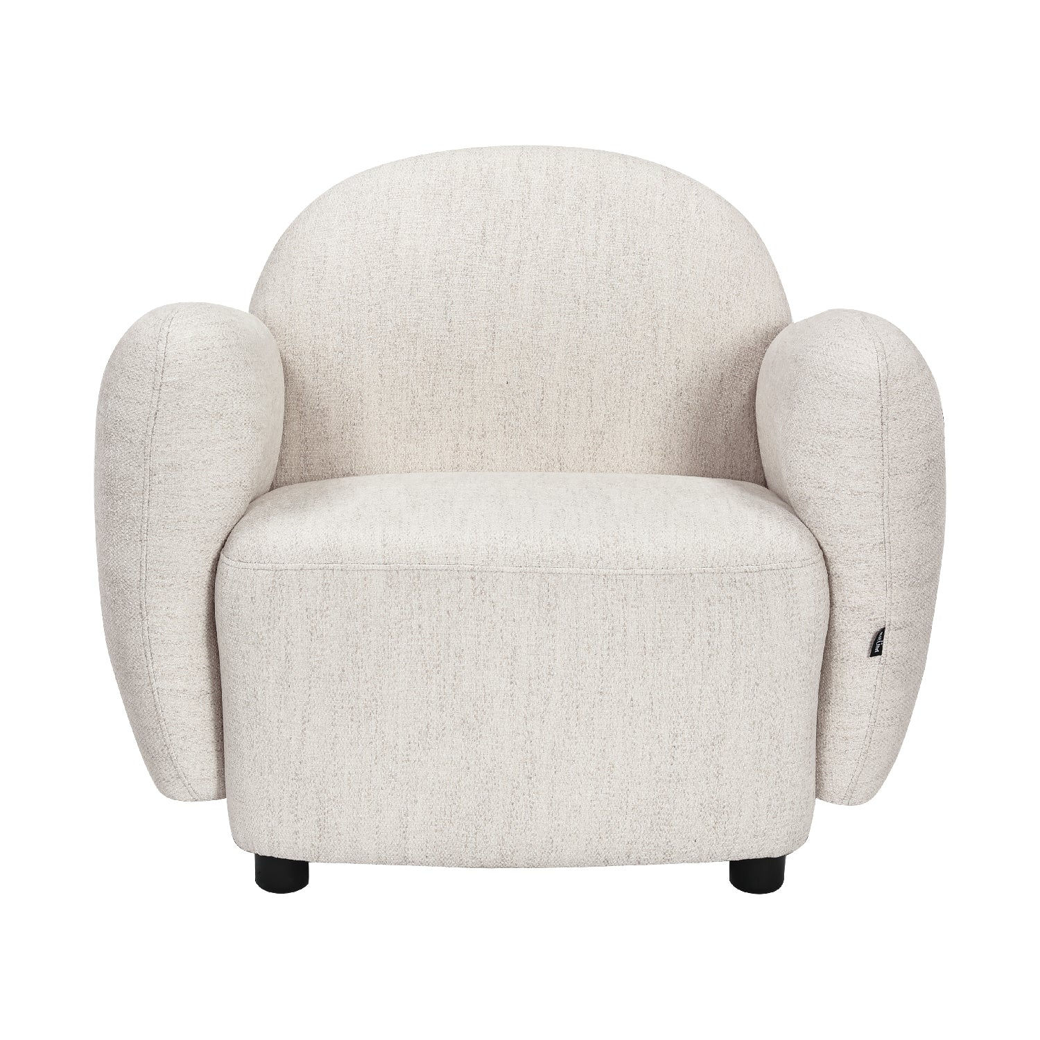 Comfortable Modern Scandinavian Armchair with Soft Organic Curved Lines