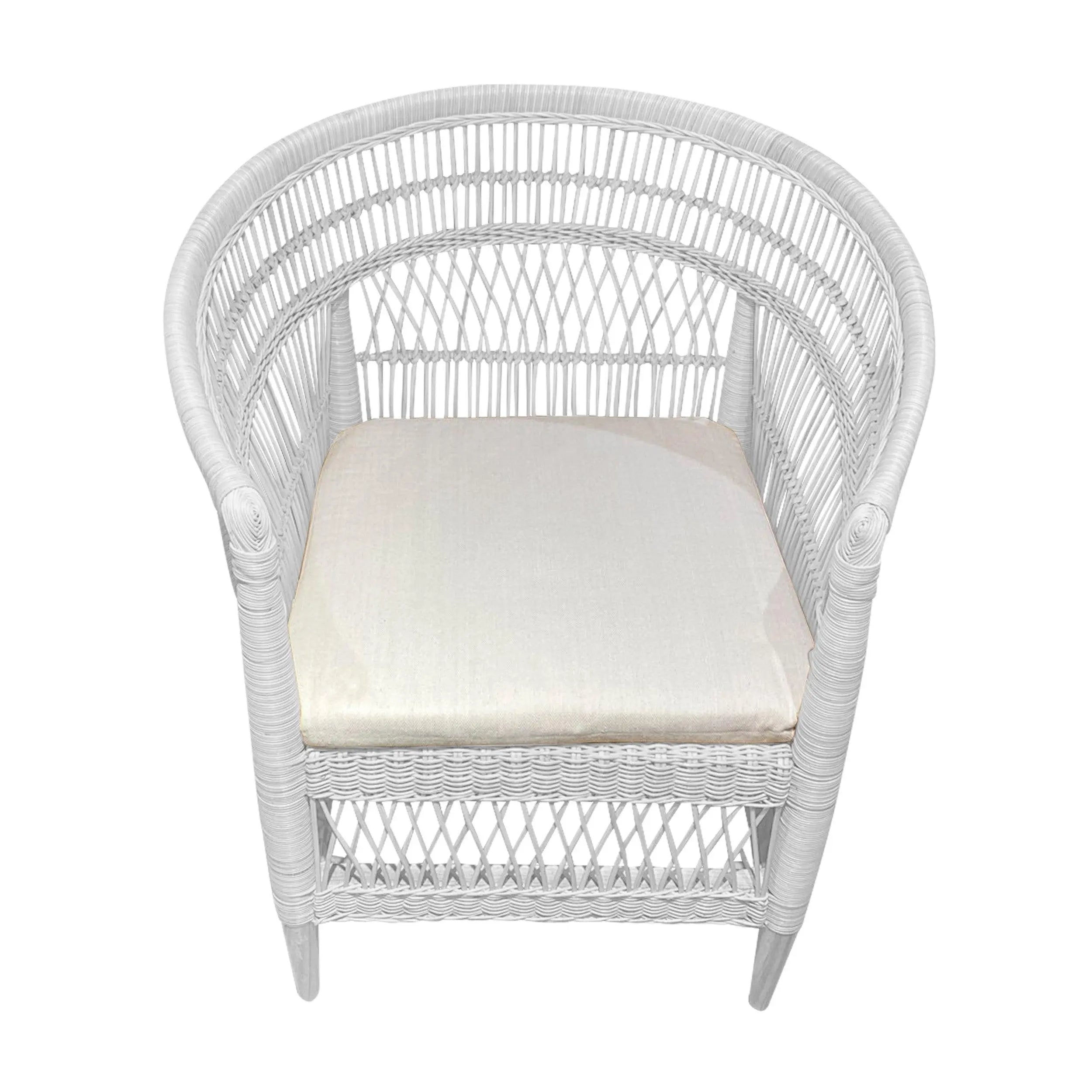 Elegant White Rattan Indoor Outdoor Lounge Chair with Cushion