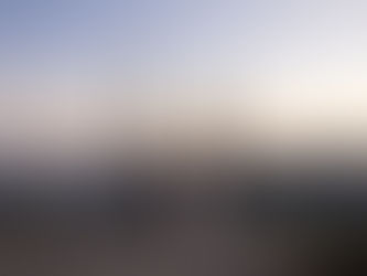 7 Reasons to Elope in Sequoia National Park for an Intimate, Hassle-Free Wedding | Brooke Motl Photo