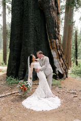Bride and groom doing dip pose in front of giant sequoia
