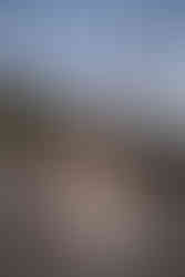 Bride holding lantern and posing on Beetle Rock during her Sequoia National Park elopement.