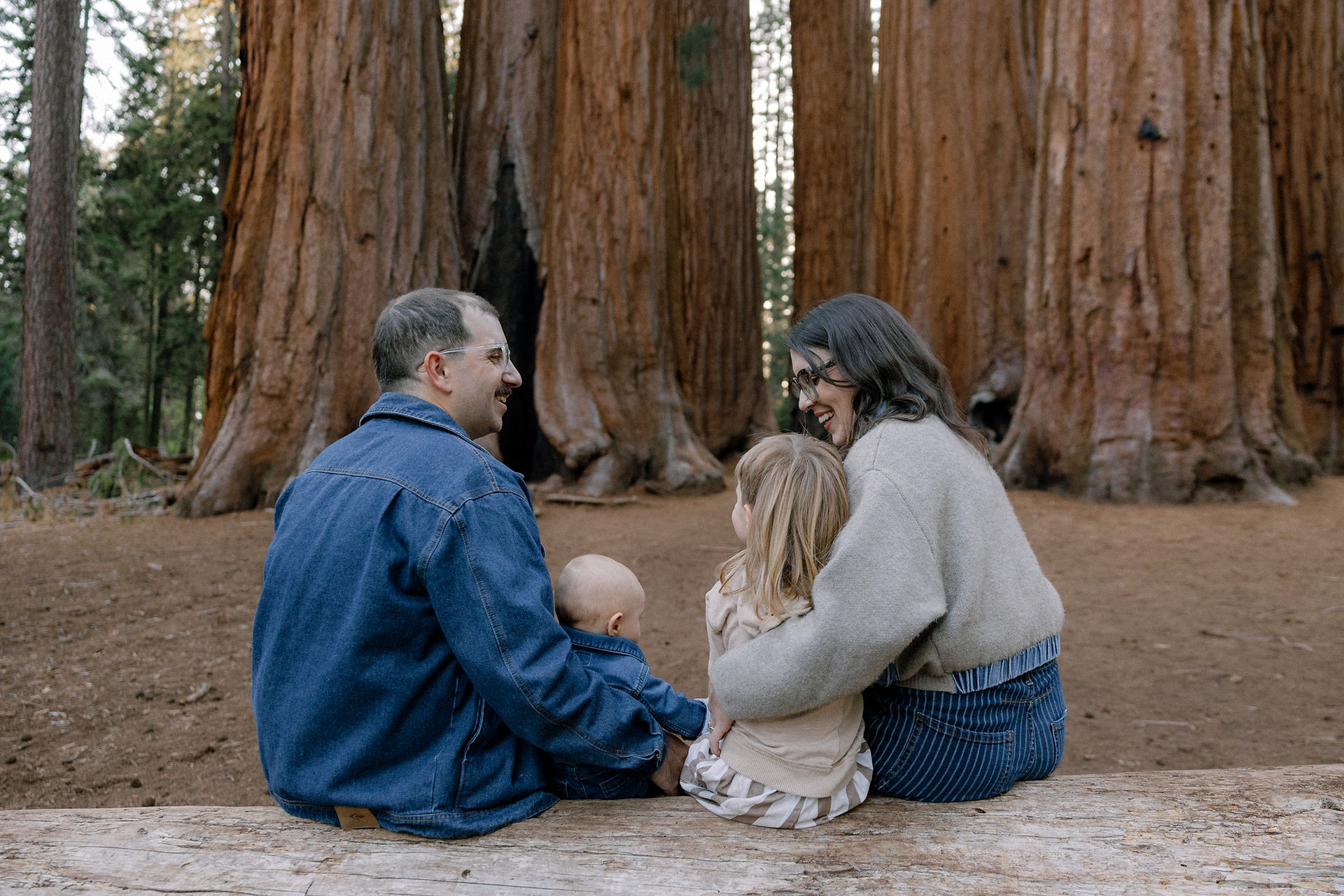 Family of four sits on a log facing away from the camera looking at giant sequoias
