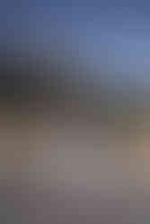 Intimate bride and groom portrait against the cliffs of Sequoia National Park.