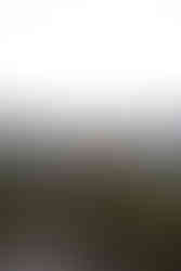 Couple holding lanterns during adventurous Sequoia wedding portraits at sunset.