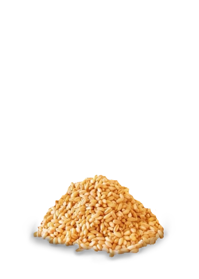 hoopje graan