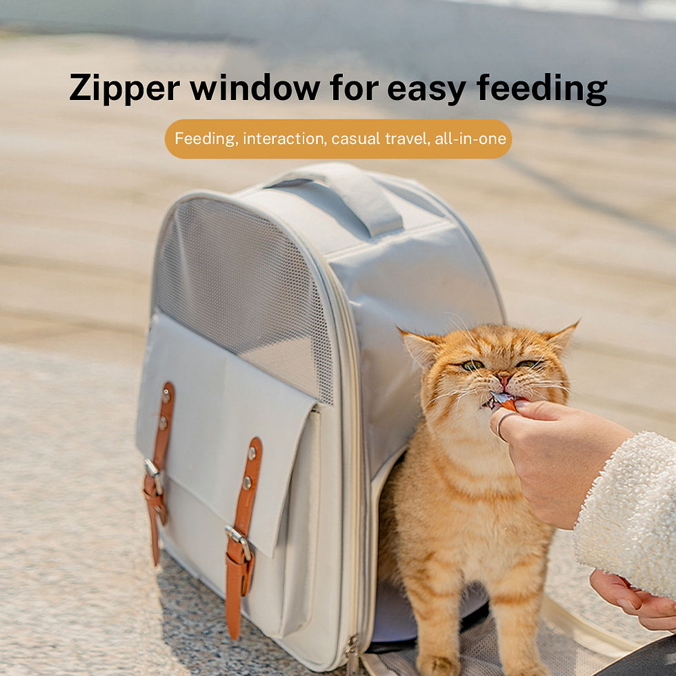Thumbnail: Cat Backpack