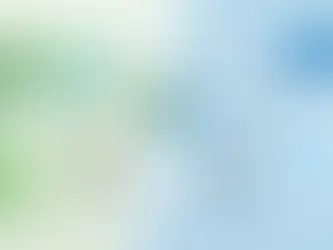Enzyme Treatment Versus Biocides for Mold