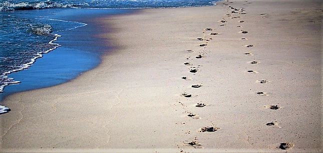 I will walk alongside you