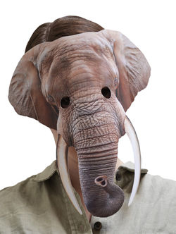 Elephant 1.jpg