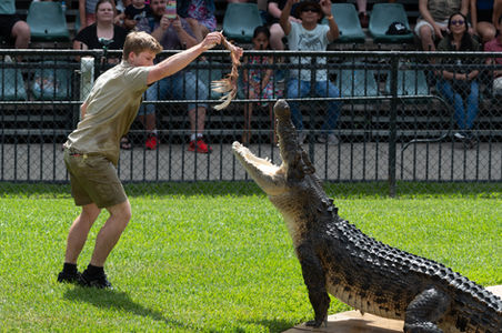 photo-genius-australia-zoo.jpg