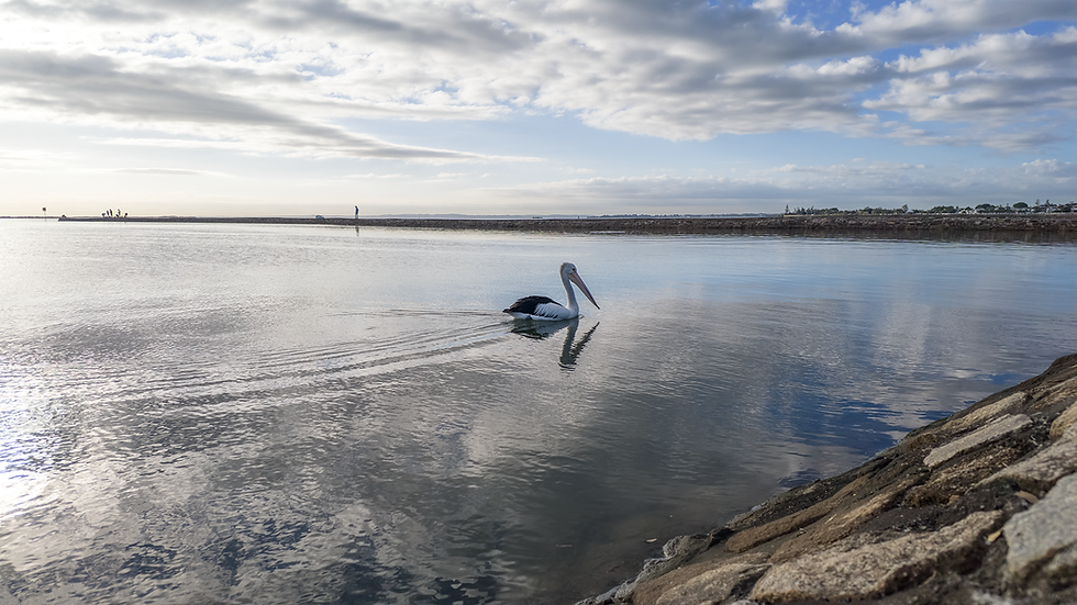 DJI OSMO Pocket 4 Image gallery