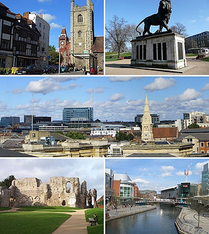 Montage of Reading scenes