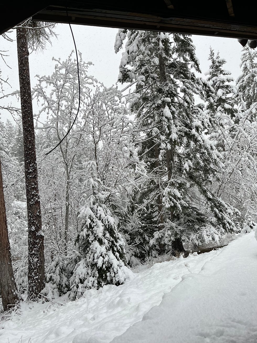 Ruby Bedrom_Window View