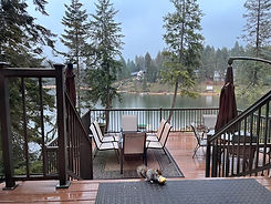 Squirel Eating on Viewing Deck.jpeg