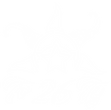 TV26-logo-Blanc.png