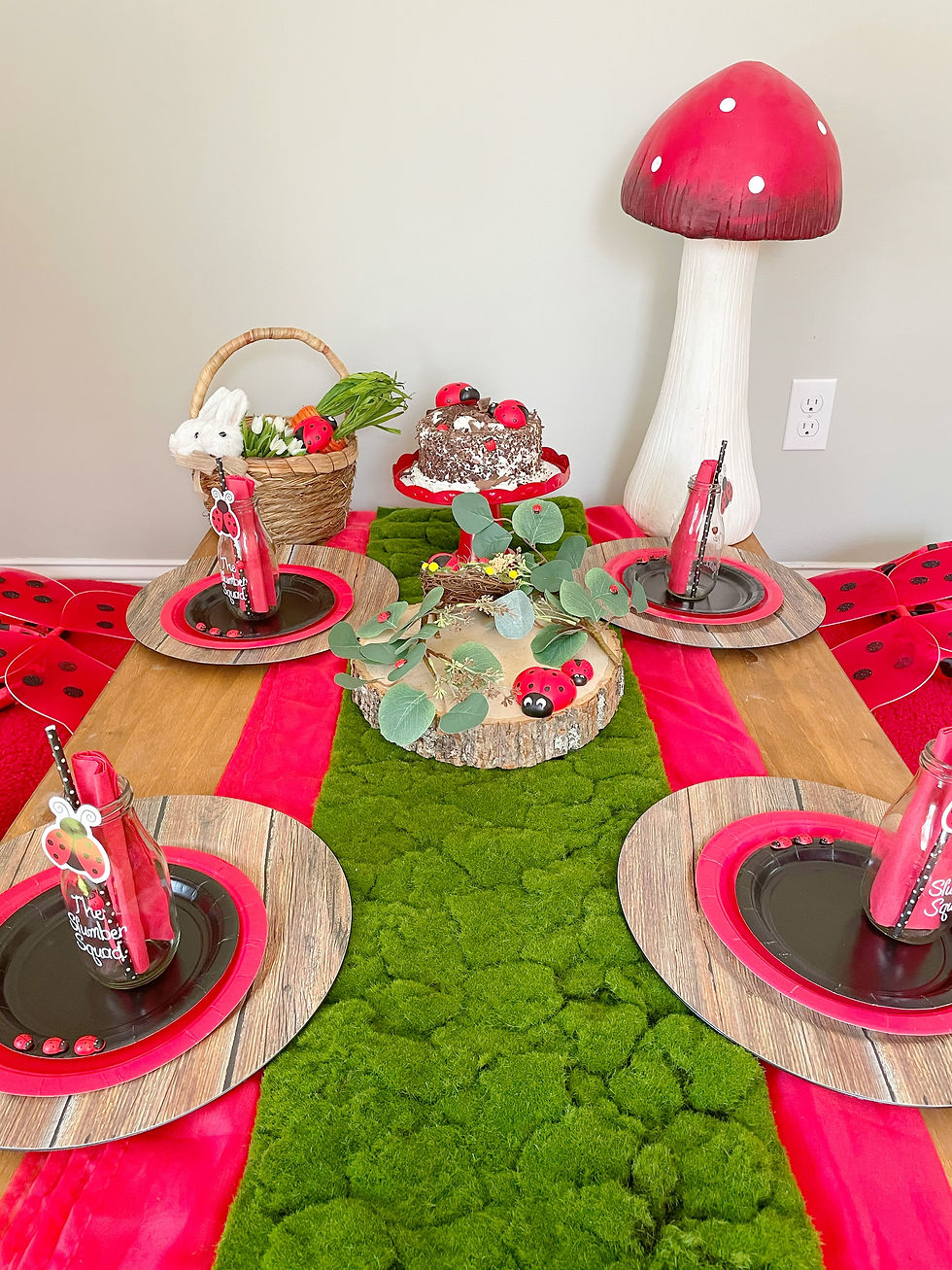 Thumbnail: Ladybug Ball Picnic Tea Party