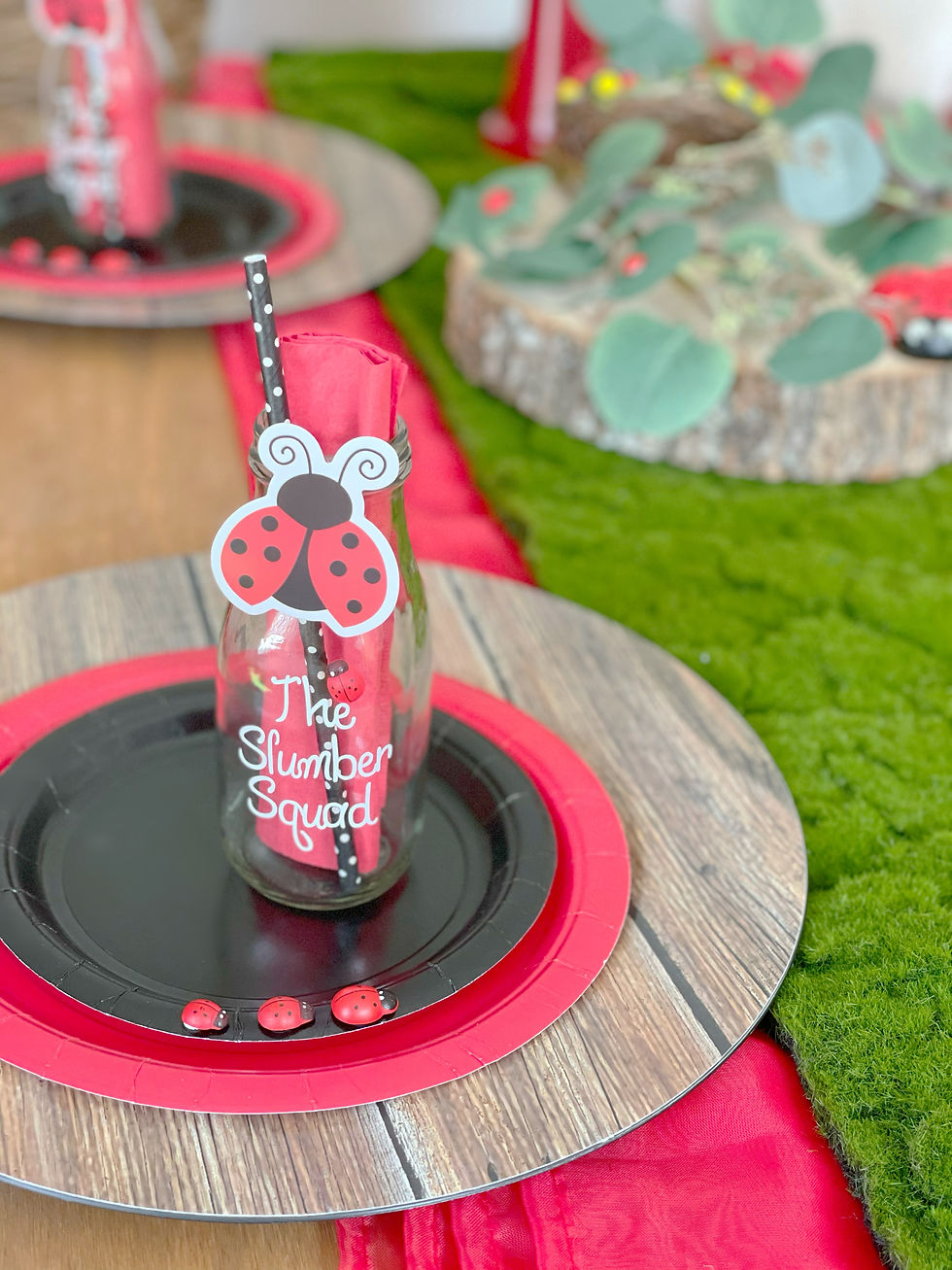 Thumbnail: Ladybug Ball Picnic Tea Party