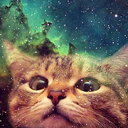 ourfriends4ever_header_cat_space_face.jp
