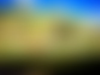 Servidores promovem 'Ecoférias' para as crianças no Horto Florestal