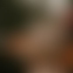 Mariage de M&D, Protea Lovers à la Golden Hour 