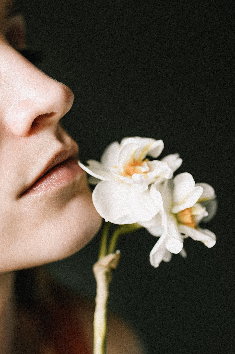 Fleuriste Monpellier : Studio Majalis Floral Designer, retour sur un set design de printemps