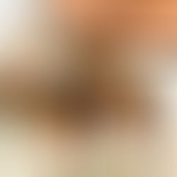 Floral Design at Domaine du Rey in Gard