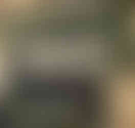 Fleuriste Montpellier Studio Majalis Floral Designer set design floral Joy Healthy Food