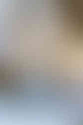 Shooting inspiration mariage argent dentelles