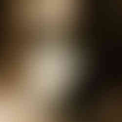 Fleuriste mariage Montpellier - Studio Majalis