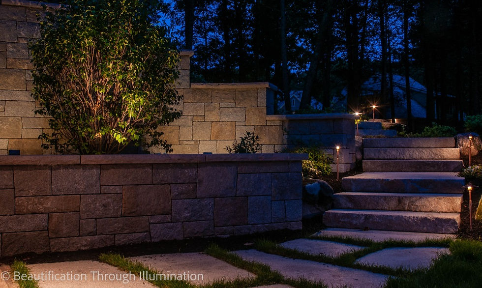 Stone steps with subtle landscape lighting at night.