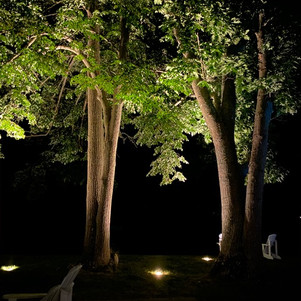 Uplighting