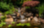 Water Features
