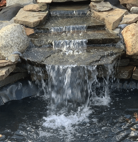 pond gif 2.gif