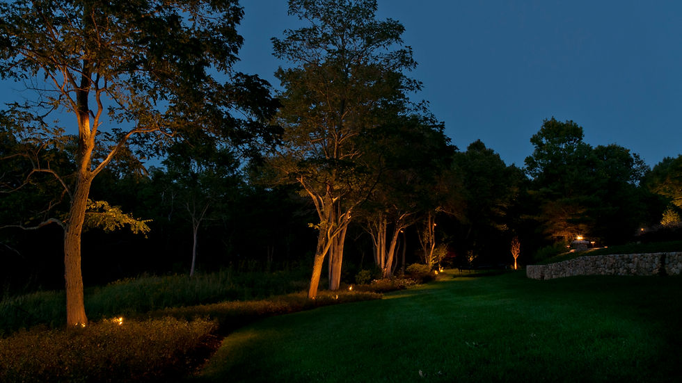 A property line of a backyard with trees being illuminated by subtle landscape lighting.