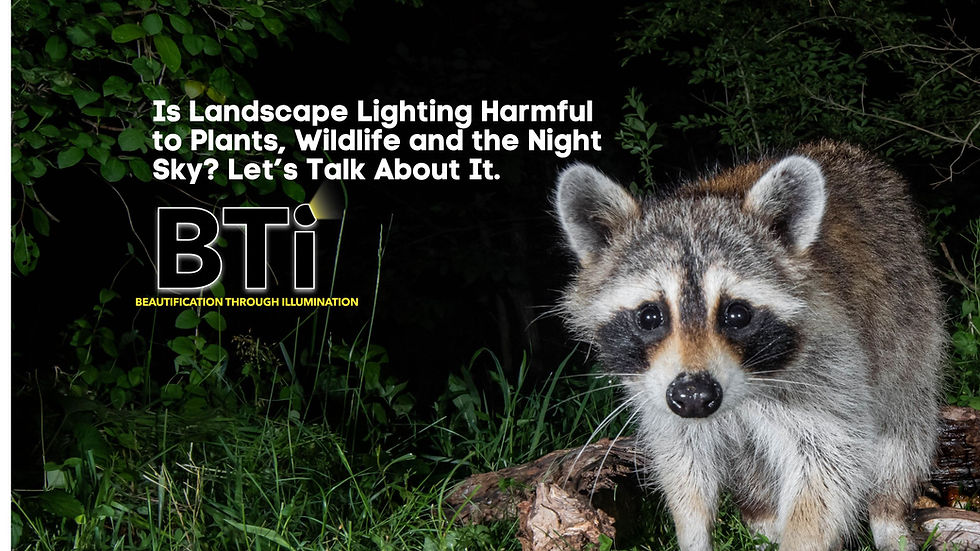 A raccoon emerging from the woods with the blog title and BTI logo.