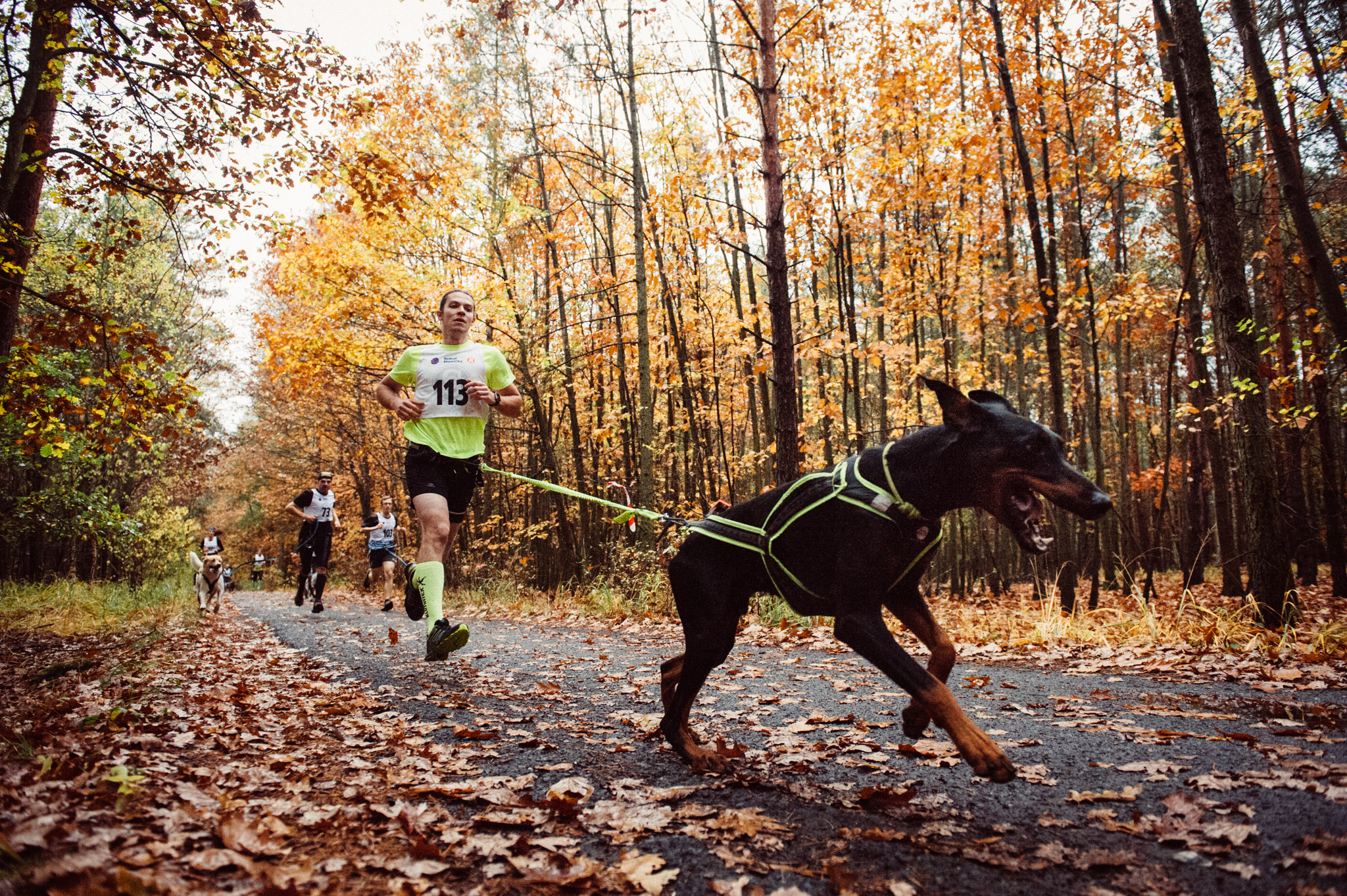 20171022_3prozdravi_klanovickypulmaraton_1498_2048px