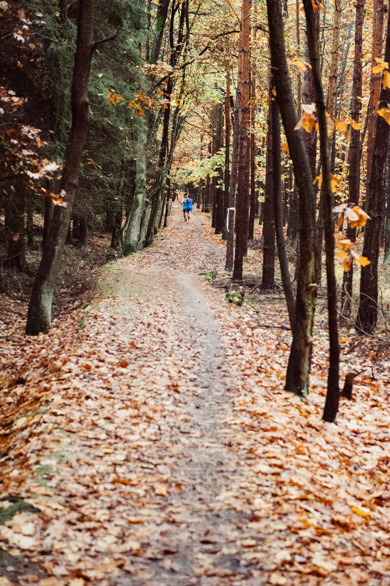 20171022_3prozdravi_klanovickypulmaraton_1325_2048px