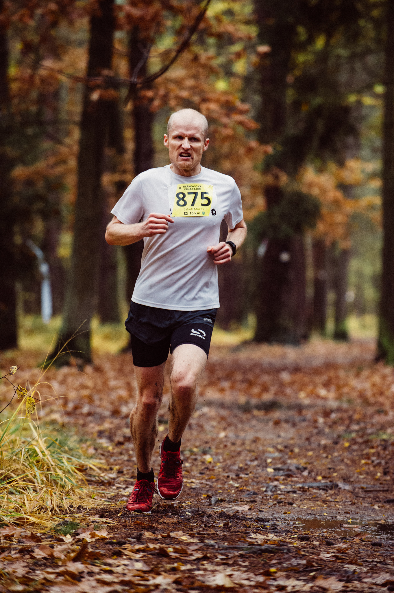 20171022_3prozdravi_klanovickypulmaraton_0382_2048px