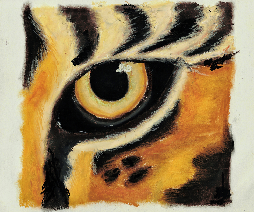 Thumbnail: From Within a Magnificent Tiger