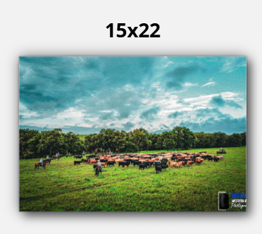 Thumbnail: Great American Cattle Drive